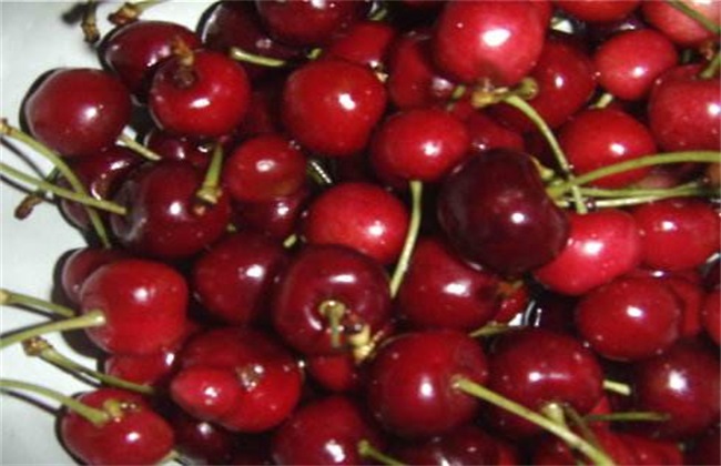 樱桃树结果少怎么办