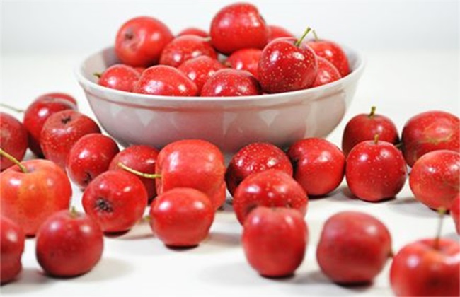 山楂催种的几种方法