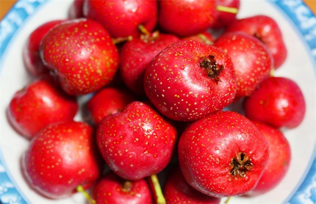 山楂催种的几种方法