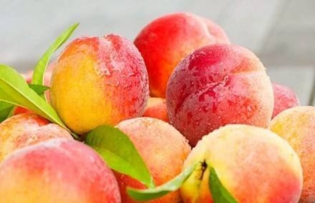 如何提高水蜜桃的产量