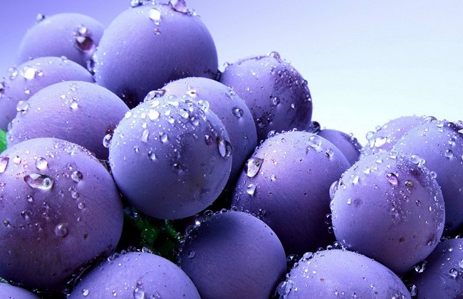 葡萄烂果的病因及防治措施