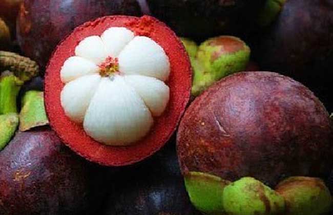 山竹为什么那么贵？