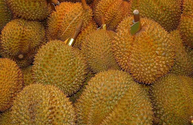 榴莲没熟打开后怎么办?