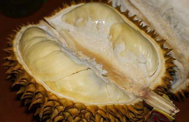 榴莲可以放冰箱吗?