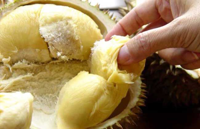 榴莲为什么那么贵？