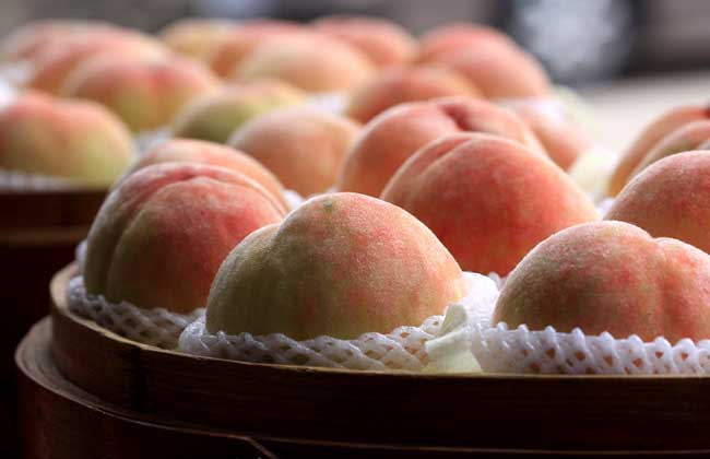 水蜜桃产地在哪里?