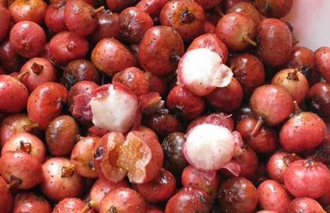 野地瓜是什么东西?