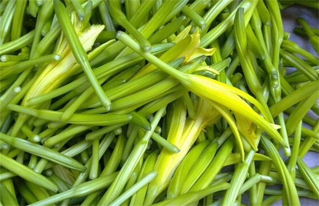 黄花菜高产的施肥方法