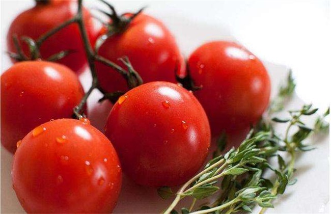 西红柿空心的原因及防治