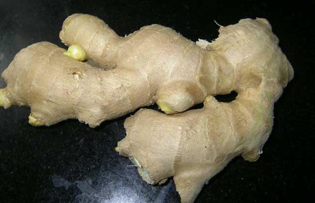 生姜高产品种有哪些？