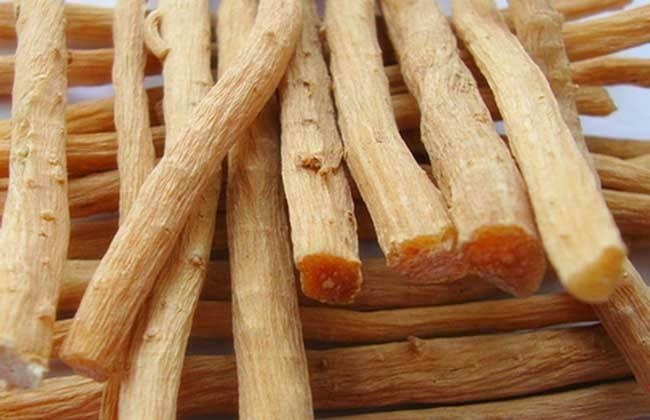 牛膝种植的注意事项