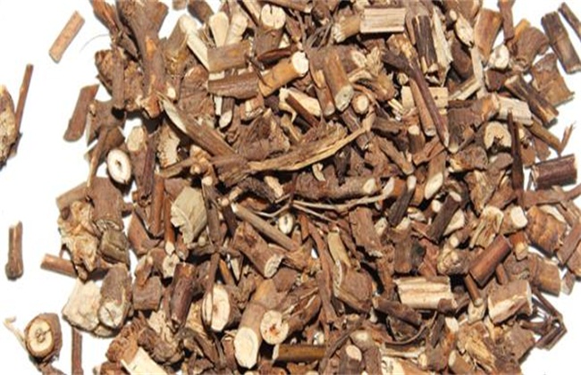 柴胡的种植时间及方法