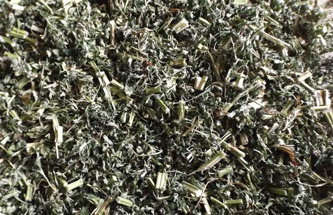 益母草产地在哪里?