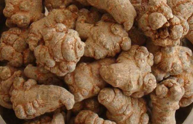 三七头数越多越好吗？