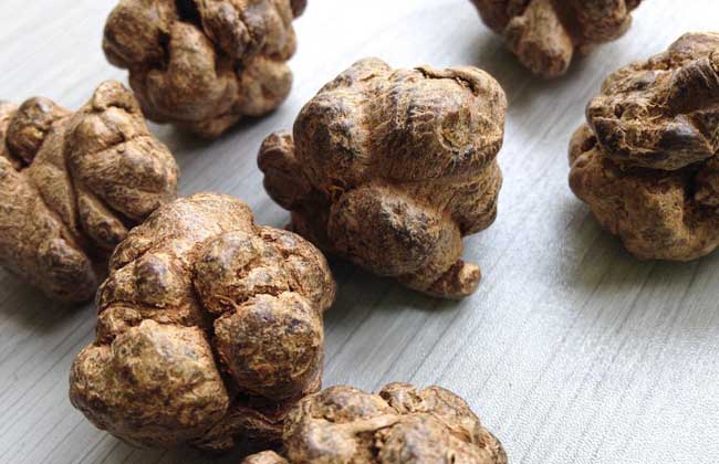 三七头数越多越好吗？