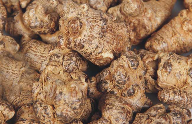 三七就是田七吗？