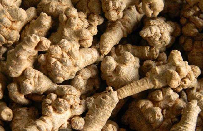 三七就是田七吗？