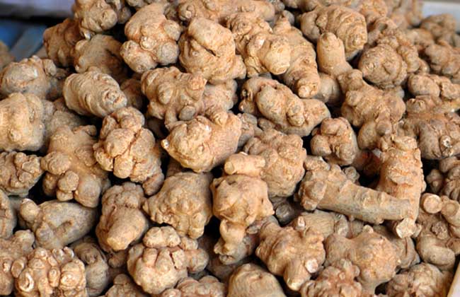 三七头数是什么意思?