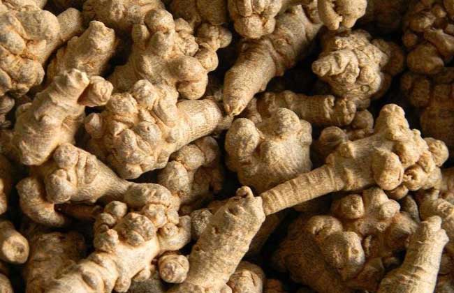 三七头数是什么意思?