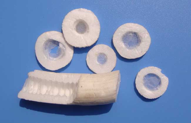 通草是什么草？