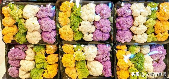 为什么普通的花菜只要几块钱一斤,彩色花椰菜这个花菜能卖到几十块钱一斤?