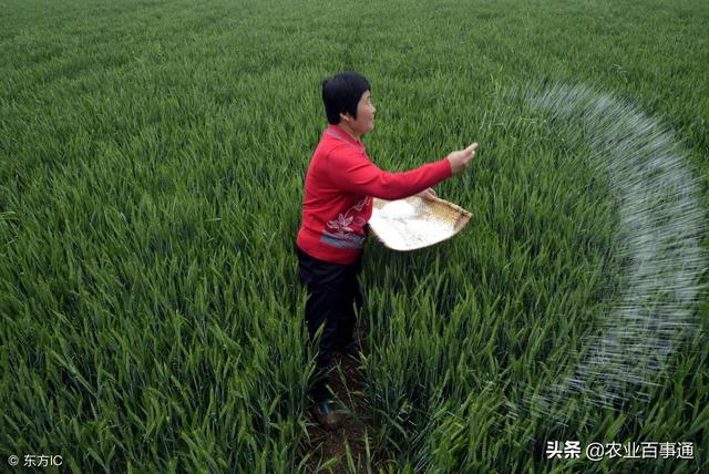 农户注意!春耕用肥高峰期,这些施肥禁忌不要犯!