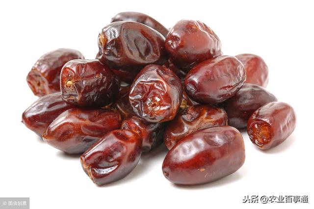 椰枣:农村这个果子不常见,很多人不认识,但却对肝脏有保护作用!