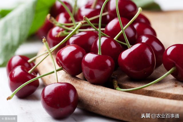 车厘子为什么那么贵,6元一颗的车厘子究竟为何这么贵?
