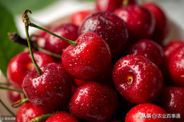 车厘子为什么那么贵,6元一颗的车厘子究竟为何这么贵?