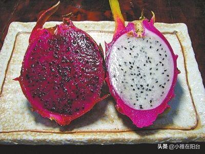 吃完火龙果,籽儿留下撒盆里,7天长出小绿芽,1年多开花,结满果