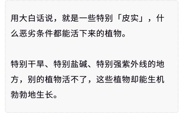 红心火龙果和白心火龙果,到底哪种更有营养?营养专家告诉你事实