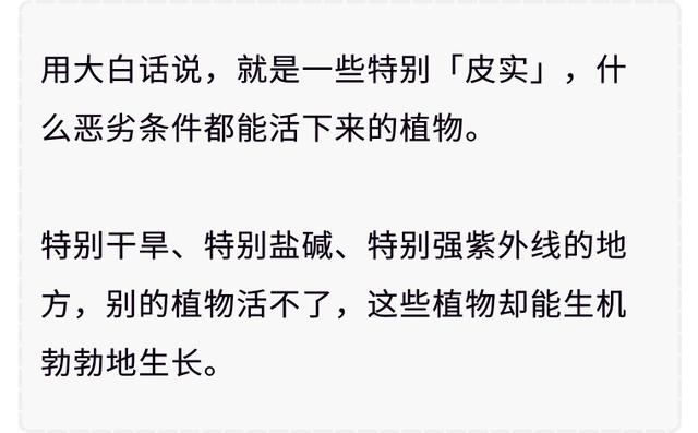 红心火龙果和白心火龙果，到底哪种更有营养？营养专家告诉你事实