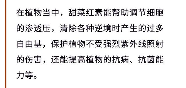 红心火龙果和白心火龙果,到底哪种更有营养?营养专家告诉你事实