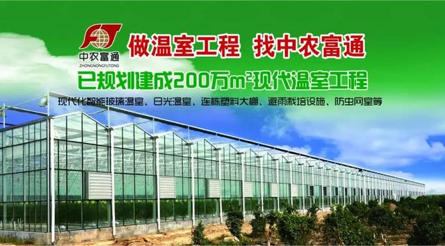 「种植技术」茄子产量翻一番,这里有秘诀!