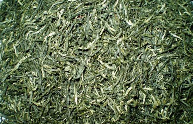 信阳毛尖是什么茶？