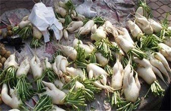 萝卜畸形根的原因及防治办法