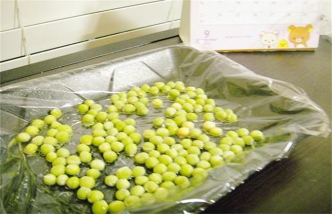 豌豆播种前种子处理办法