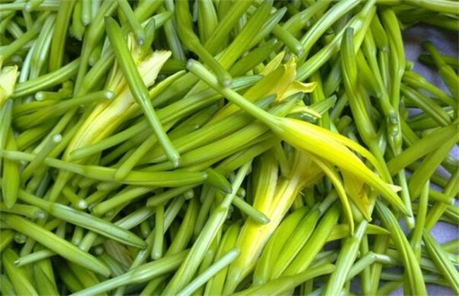 黄花菜采收后的管理技术