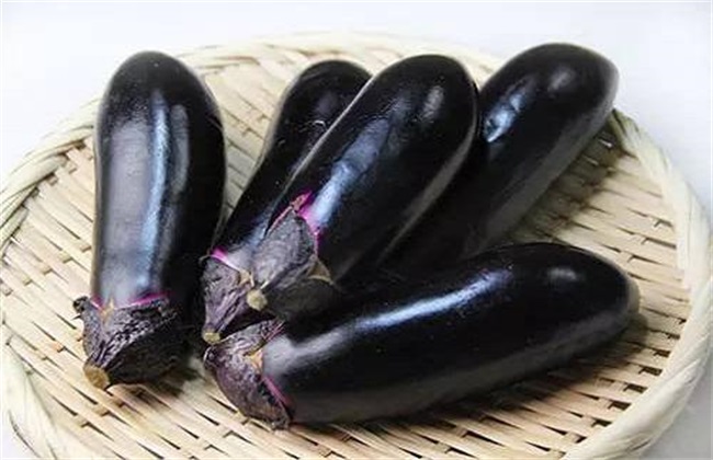 热天茄子无公害栽培技术