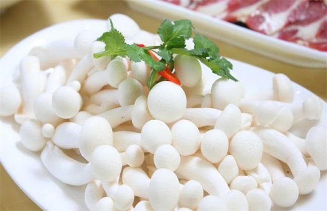 白玉菇的种植前景