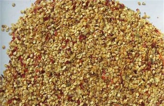 怎么提高辣椒种子的出芽率