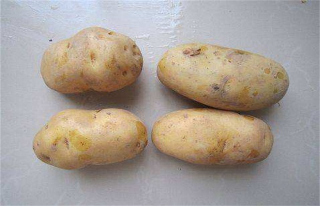 土豆怎么样才能高产