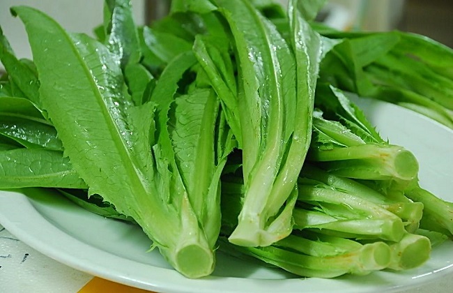 油麦菜的种植时间与办法