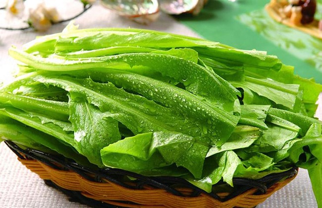 油麦菜的种植时间与办法