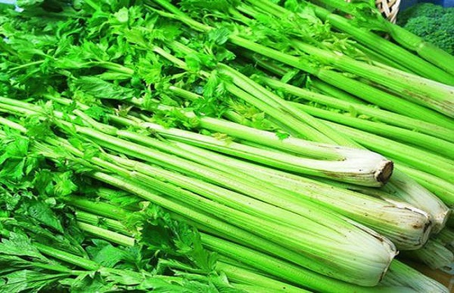 芹菜的种植办法与时间