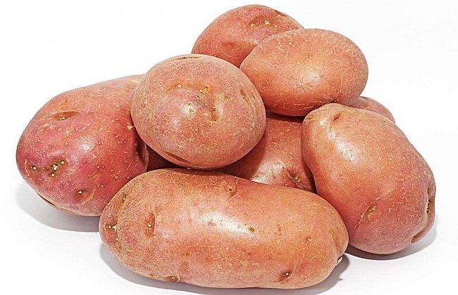土豆的种植时间与办法