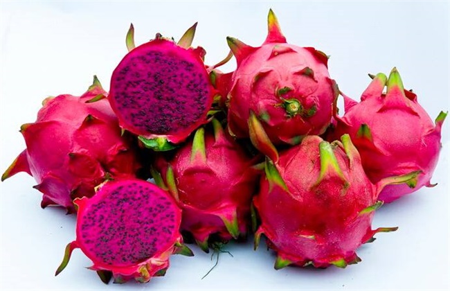 红心火龙果的种植办法