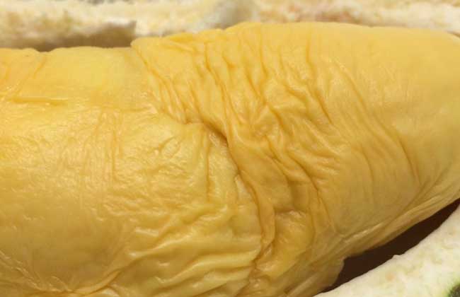 榴莲是热性還是凉性的？