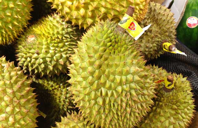 榴莲没熟打开后解决办法？