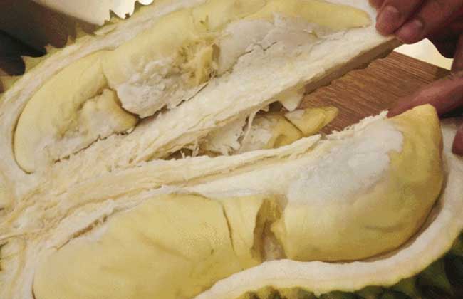 榴莲没熟打开后解决办法？